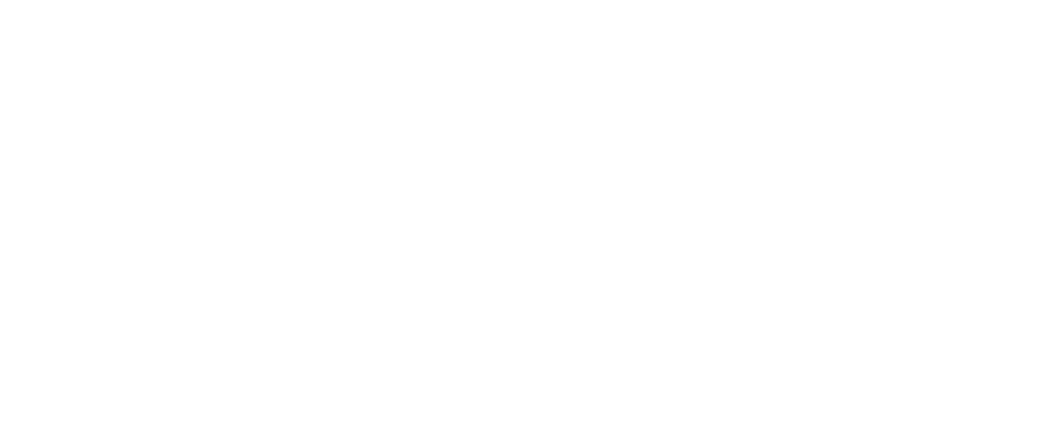 Silver Point Development